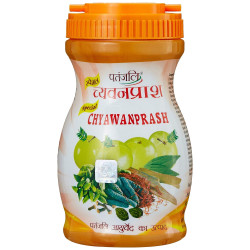 Patanjali Chyawanprash 500 g Patanjali Chyawanprash 500 g