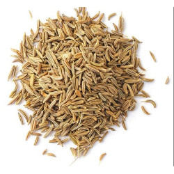 Jeera | Cumin seeds 100 g Jeera | Cumin seeds 100 g