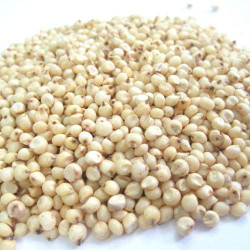 Jawar | Jawari (Sorghum) 1 kg