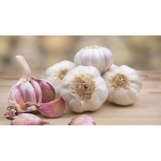 Garlic Gavathi  250 g