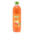 Paper Boat Swing - Mixed Fruit Juice 600 ml